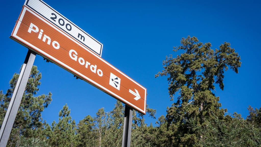 El Pino Gordo, Tenerife road direction sign