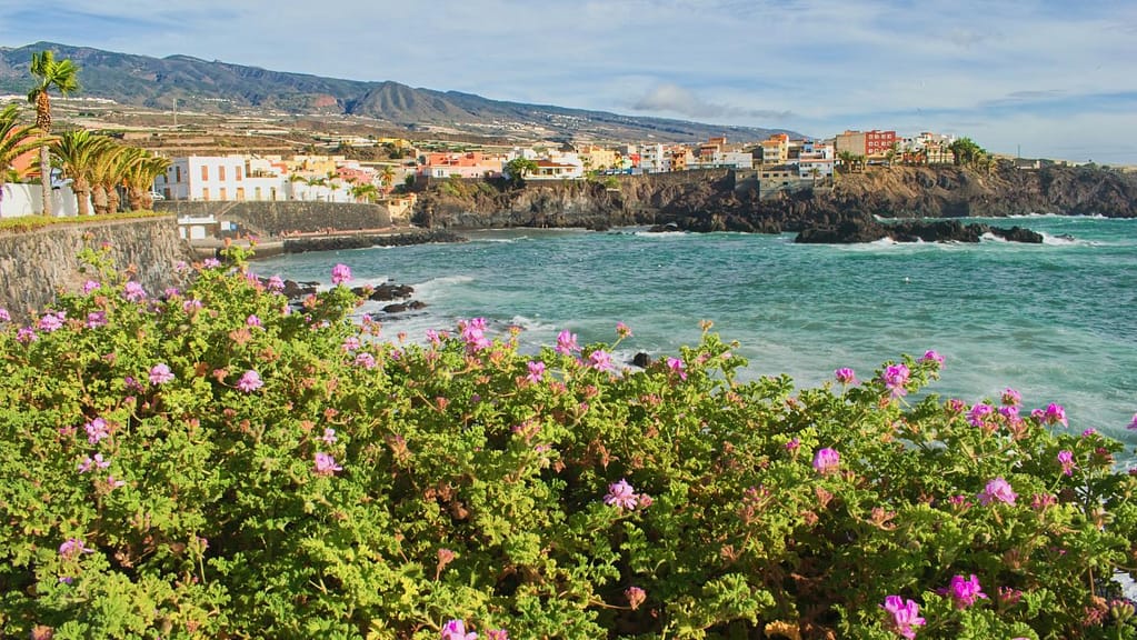 View of La Caleta bay in Tenerife