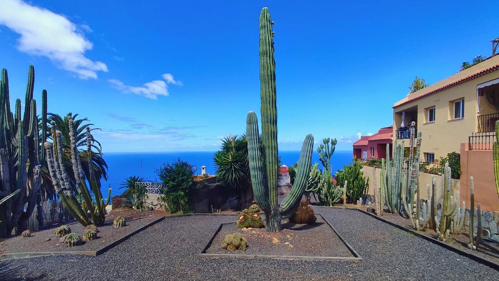 Parque de los Lavaderos, El Sauzal, Tenerife North