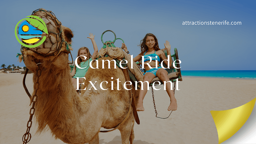 Camel Park in Tenerife - featured image